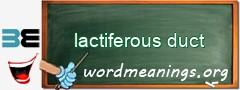 WordMeaning blackboard for lactiferous duct